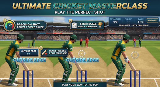 Pro Cricket 3D gameplay overview